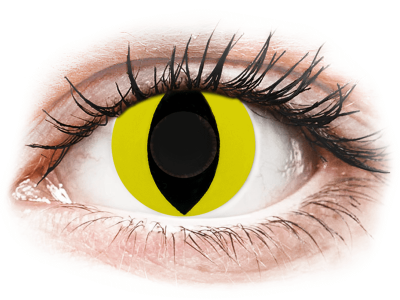 CRAZY LENS - Cat Eye Yellow - giornaliere non correttive (2 lenti) - Lenti a contatto colorate