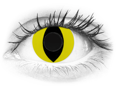 CRAZY LENS - Cat Eye Yellow - giornaliere non correttive (2 lenti)