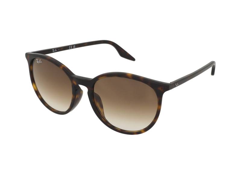 Ray-Ban RB2204F 902/51 