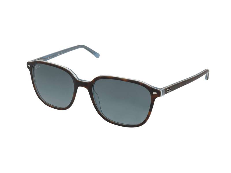 Ray-Ban Leonard RB2193 1316/3M 