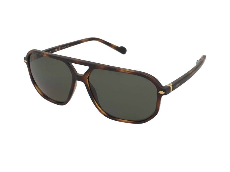 Vogue VO5531S 27189A 